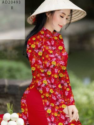 1609660529 621 vai ao dai dep hien nay (6)